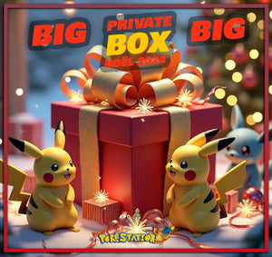 BIG PRIVATE BOX NOËL !