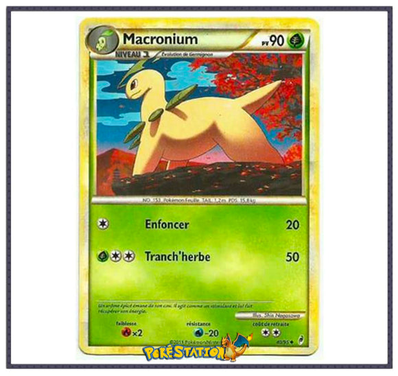 Carte Pokémon Macronium 40/95 - l'Appel des Légendes